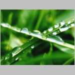 Vista Wallpapers 042.JPG